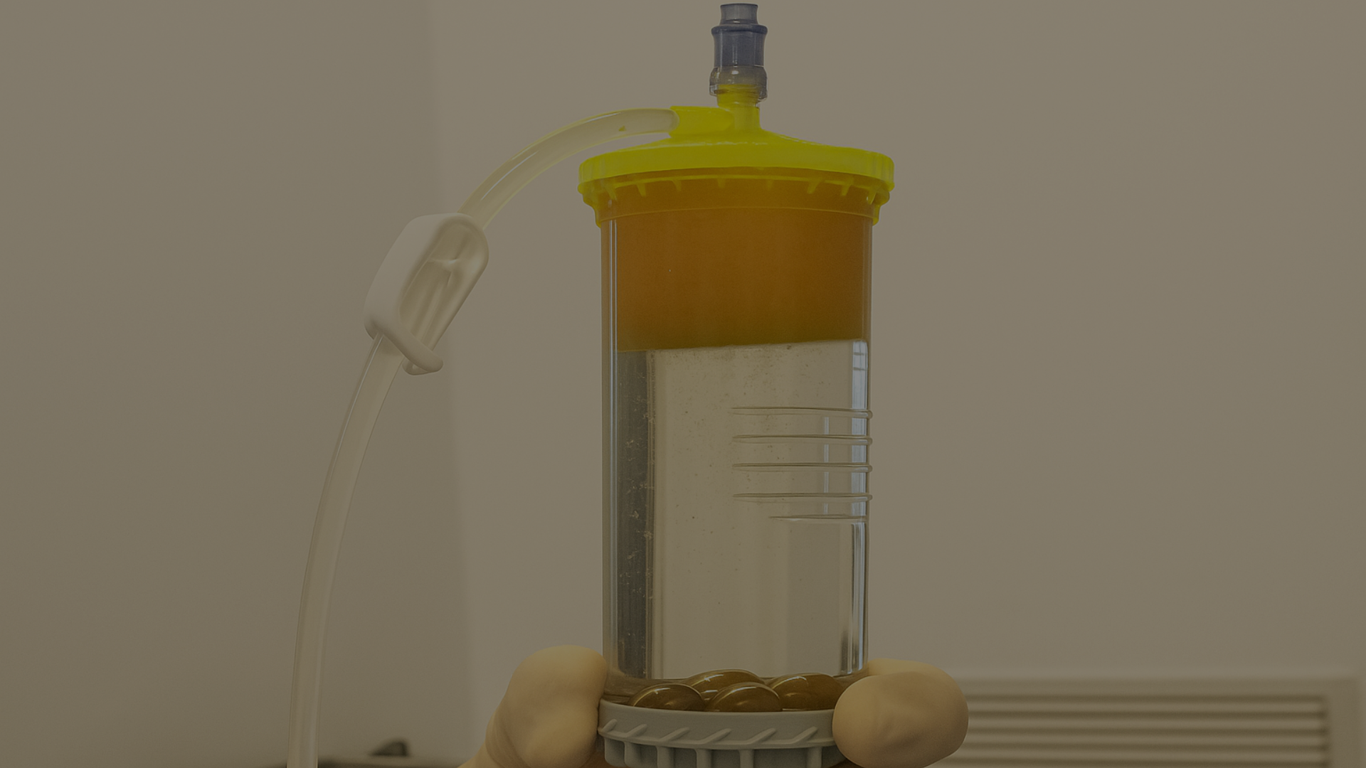 lipogems
